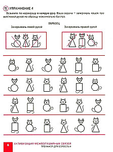 Activation of Interhemispheric Connections: Trainer for Adults