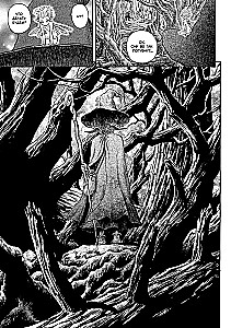 Berserk. Tomas 12