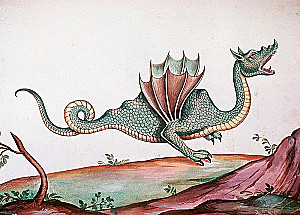 Magical Animals. Legends and Superstitions