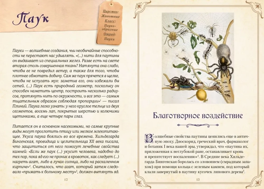 Magical Animals. Legends and Superstitions