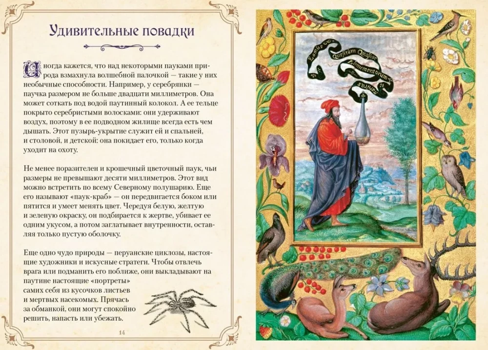 Magical Animals. Legends and Superstitions