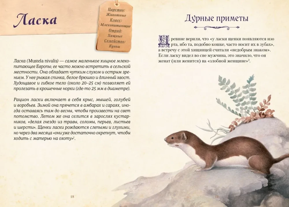 Magical Animals. Legends and Superstitions