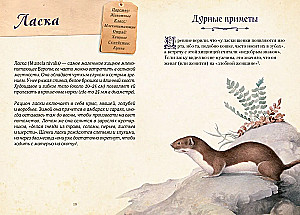 Magical Animals. Legends and Superstitions