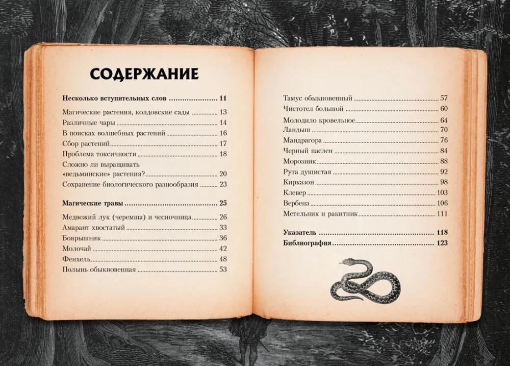 Mazais raganas grimoires. Zāles un burvju augi