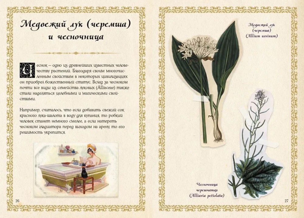 Mazais raganas grimoires. Zāles un burvju augi