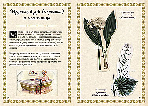 Mazais raganas grimoires. Zāles un burvju augi