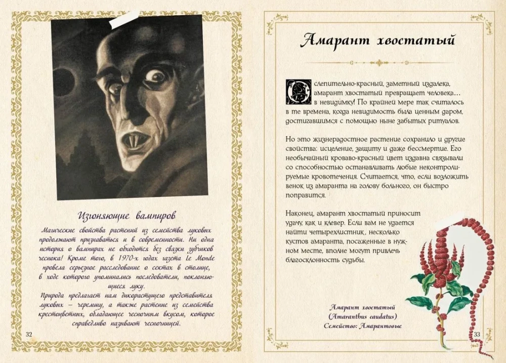 Mazais raganas grimoires. Zāles un burvju augi