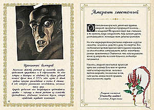 Mazais raganas grimoires. Zāles un burvju augi