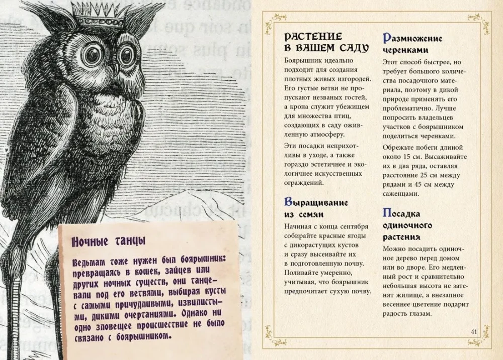 Mazais raganas grimoires. Zāles un burvju augi