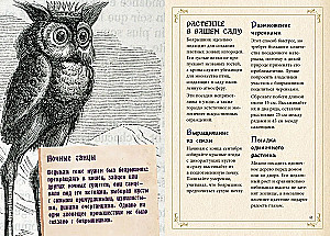 Mazais raganas grimoires. Zāles un burvju augi