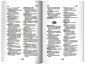 Angielsko-rosyjski, rosyjsko-angielski słownik: klasy 5-11