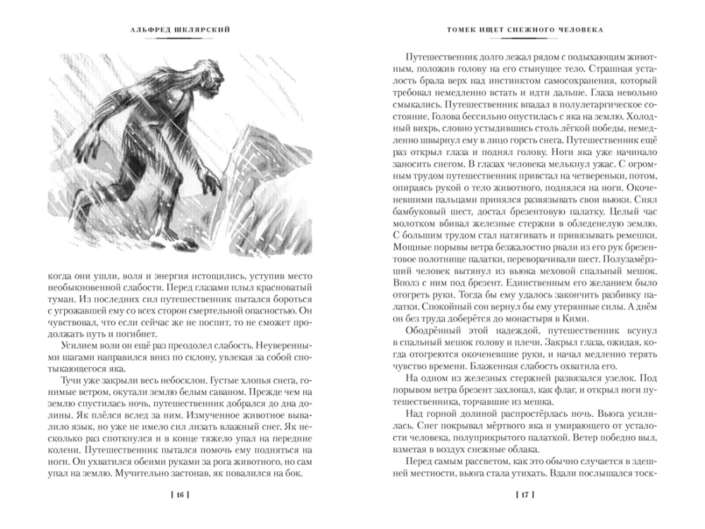 Tomek Searches for the Yeti and Other Amazing Adventures