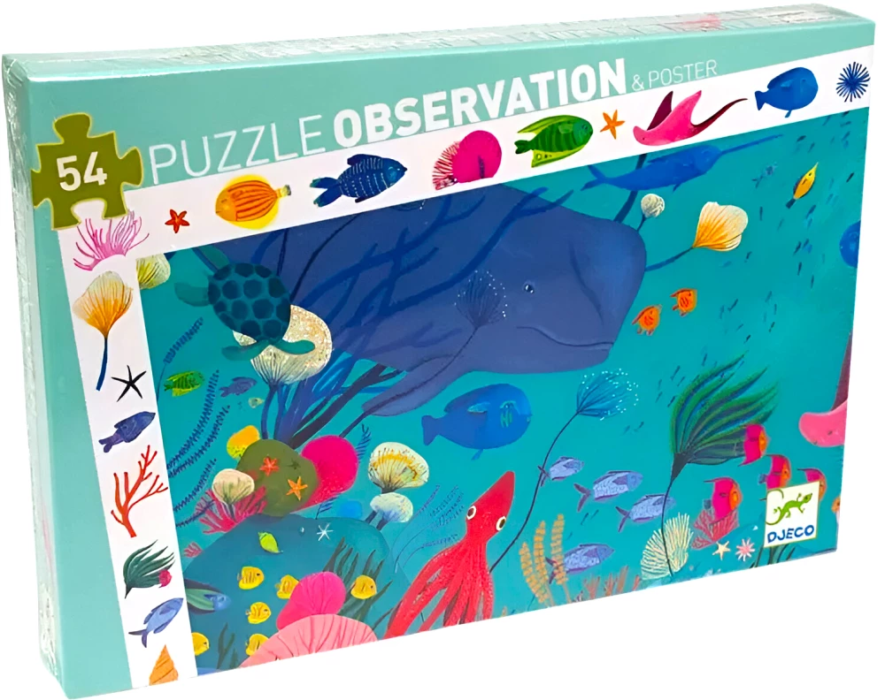 Observational Puzzles – Ocean