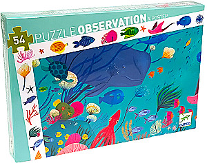 Observational Puzzles – Ocean