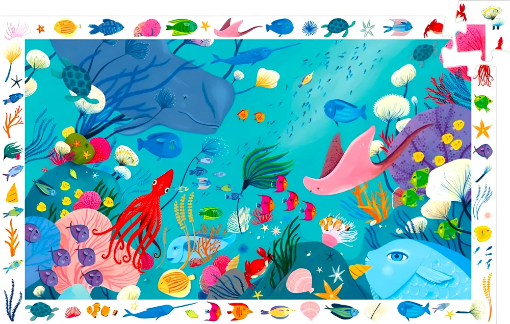 Observational Puzzles – Ocean