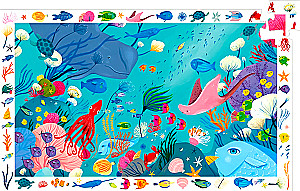 Observational Puzzles – Ocean