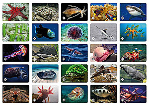 Brettspiel - Memo. Unterwasserwelt