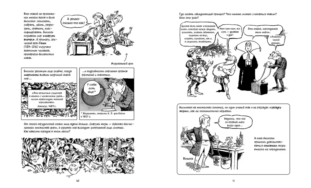 Biologija. Trumpas kursas komiksuose
