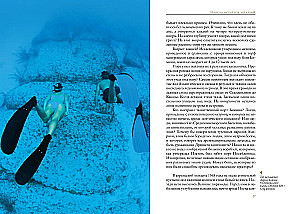 Wielkie tajemnice oceanów. Ocean Atlantycki. Ocean Indyjski