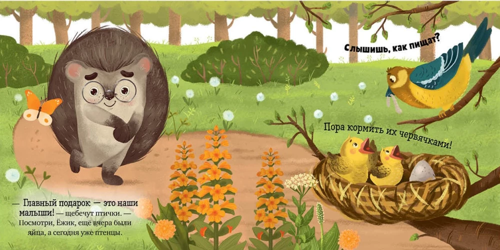 Der Igel und der sonnige Sommer