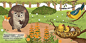 Der Igel und der sonnige Sommer