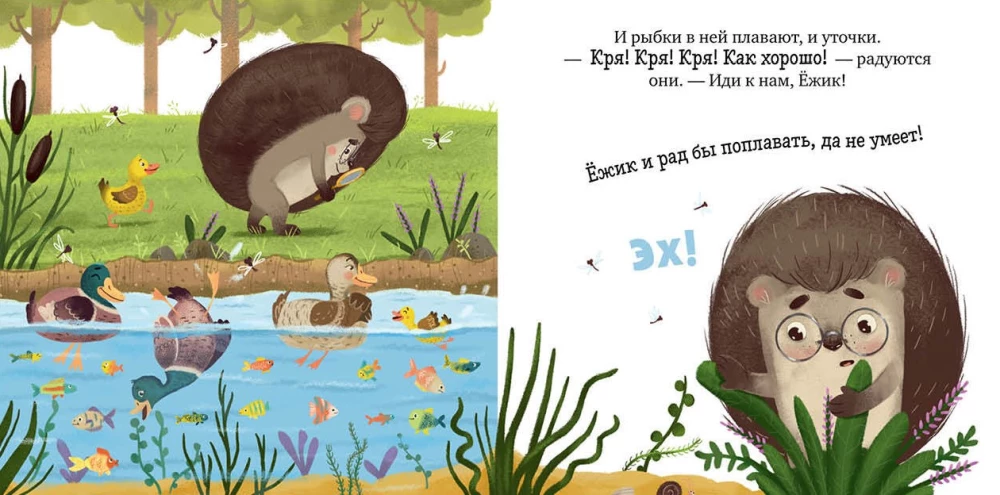 Der Igel und der sonnige Sommer