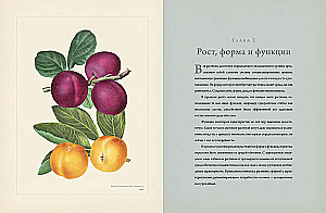 Botany for Gardeners