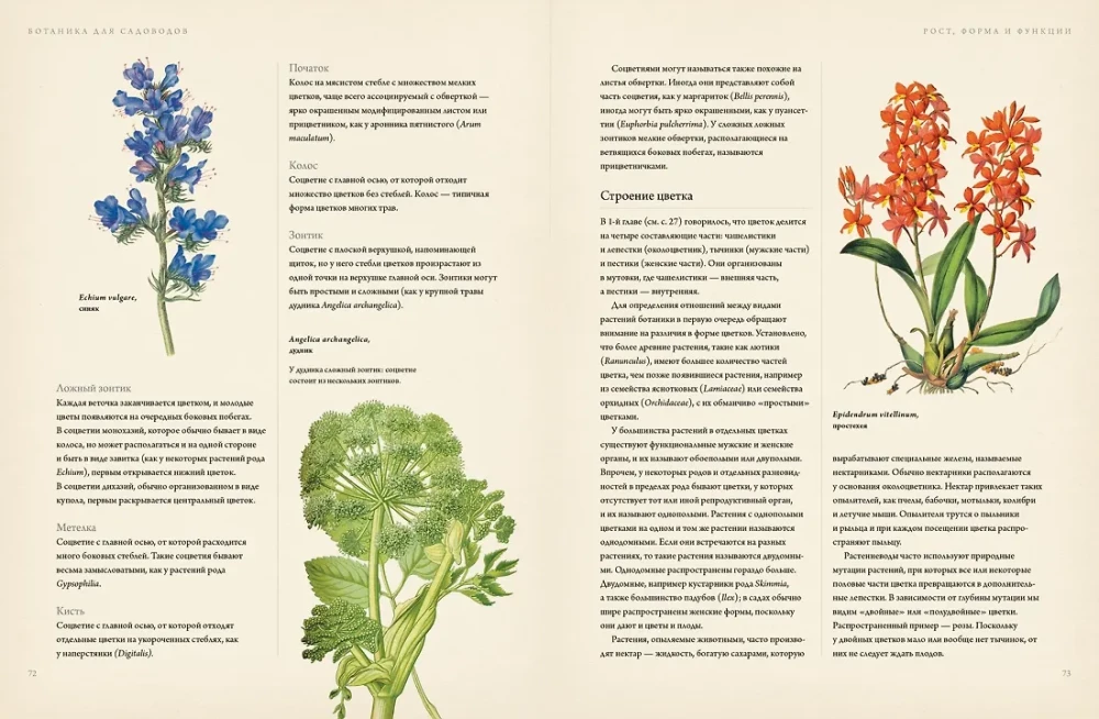Botany for Gardeners