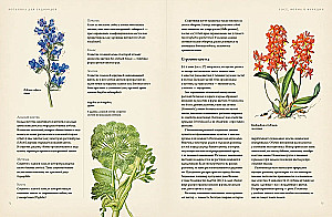 Botany for Gardeners