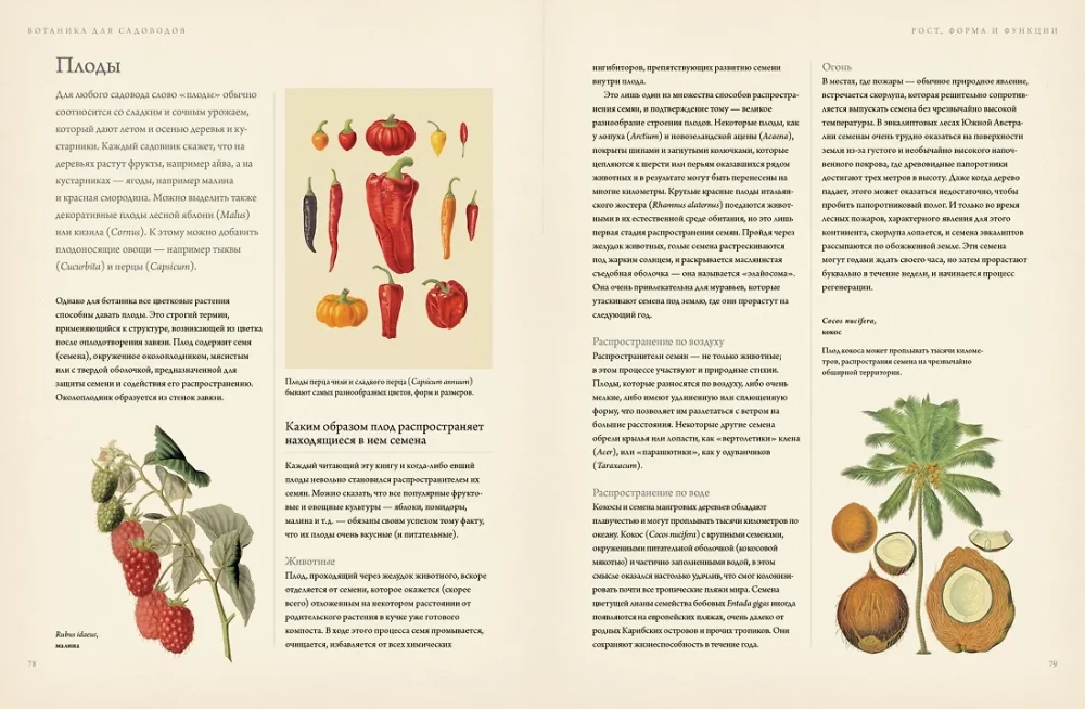 Botany for Gardeners