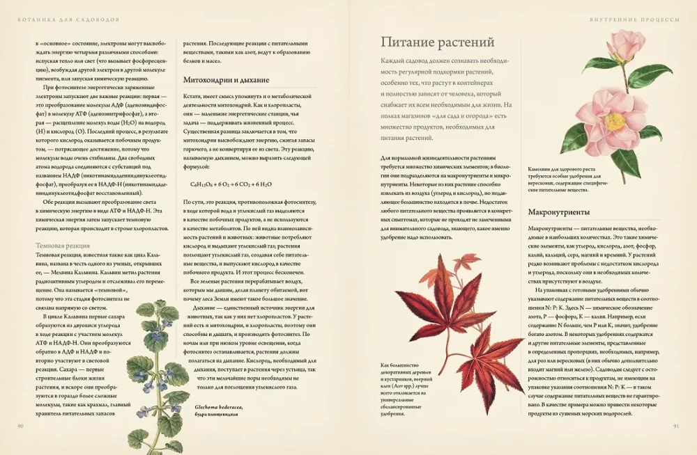 Botany for Gardeners