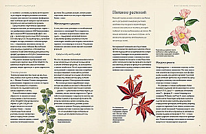 Botany for Gardeners