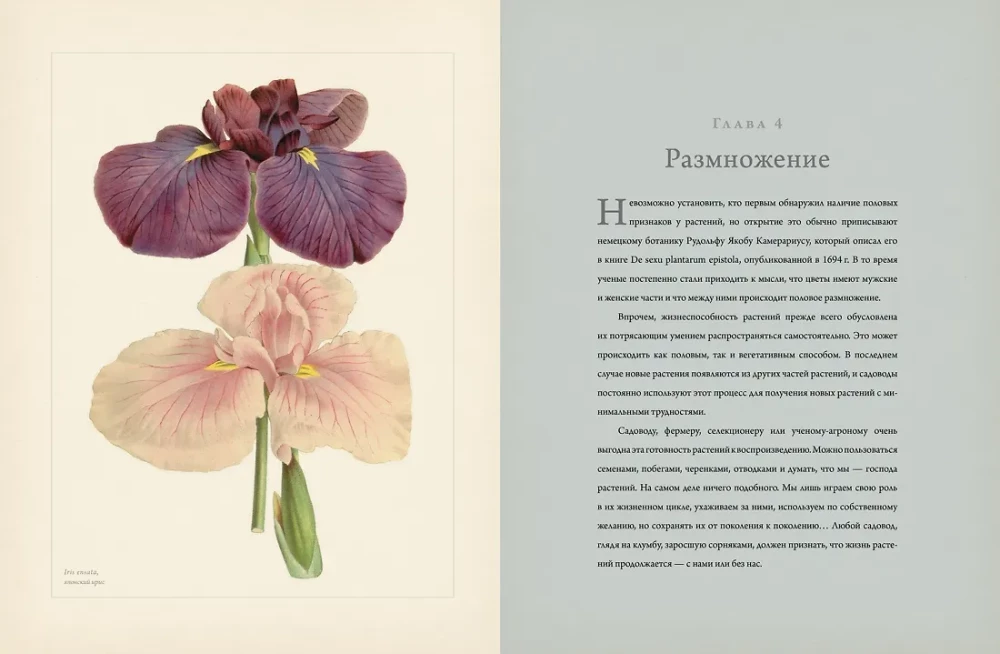 Botany for Gardeners