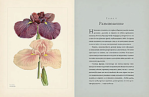 Botany for Gardeners