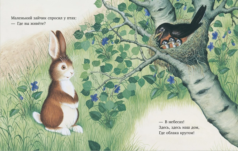 Bunny is looking for a home