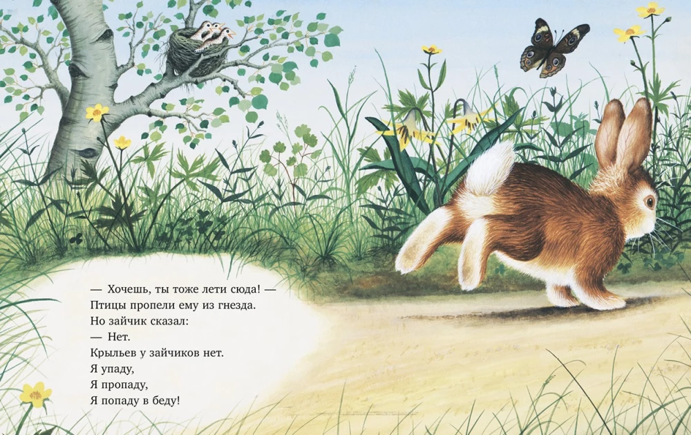 Bunny is looking for a home