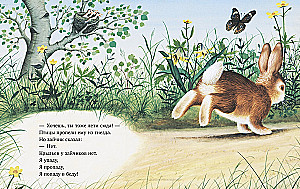 Bunny is looking for a home