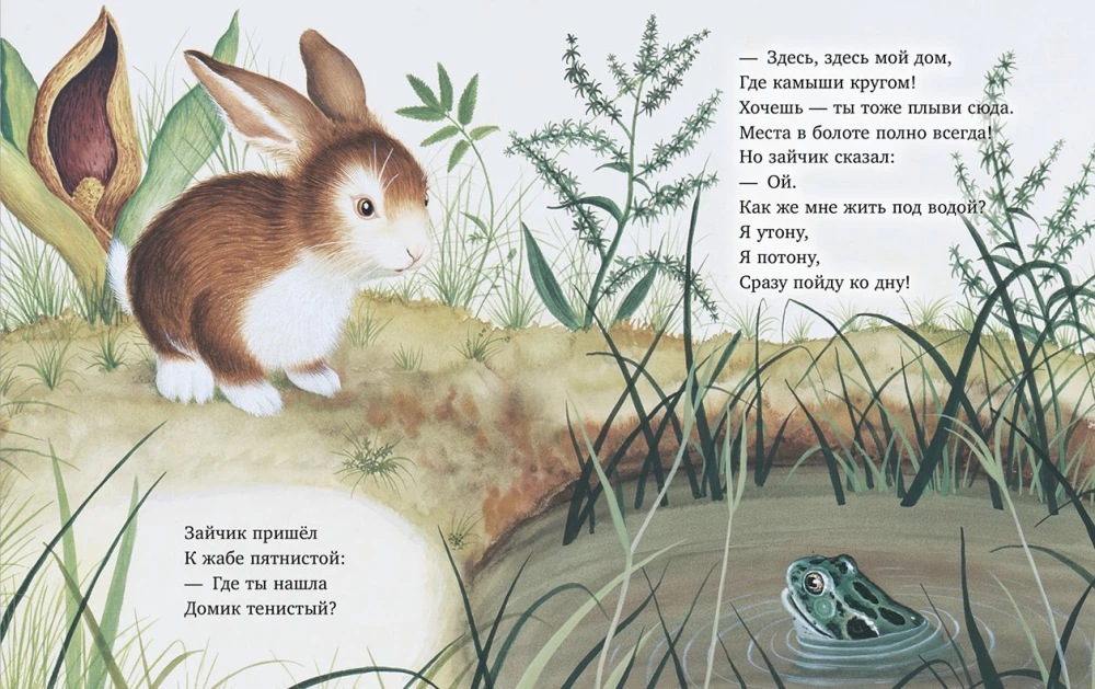 Zajączek szuka domu