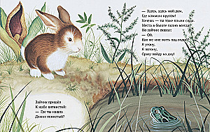 Zajączek szuka domu