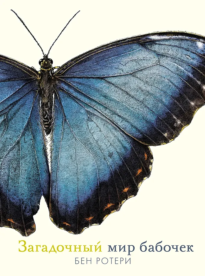 The Mysterious World of Butterflies