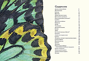 Die geheimnisvolle Welt der Schmetterlinge