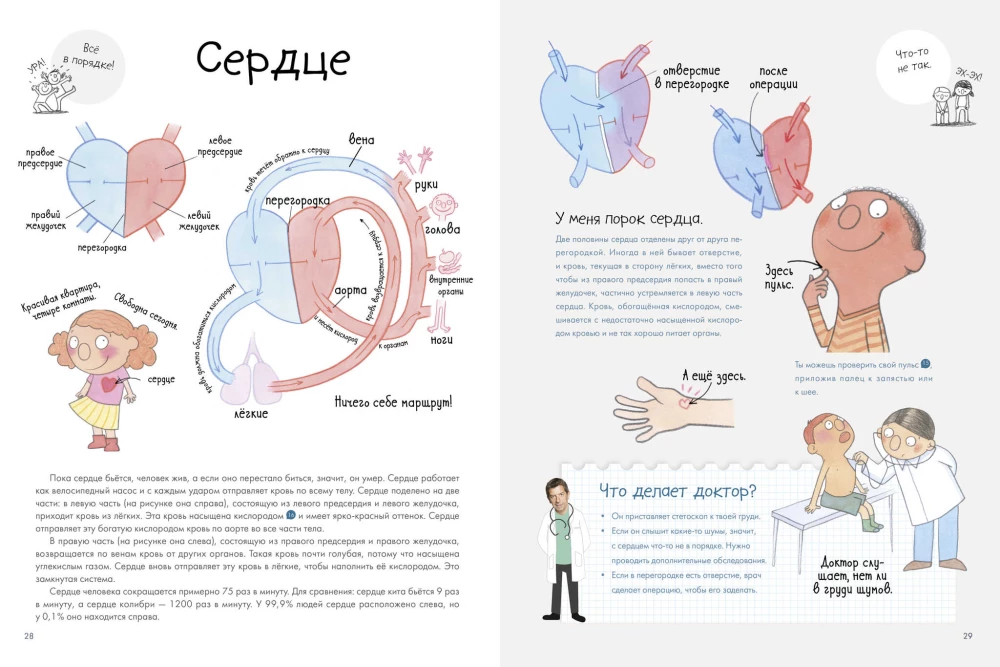 Sekrety ciała człowieka