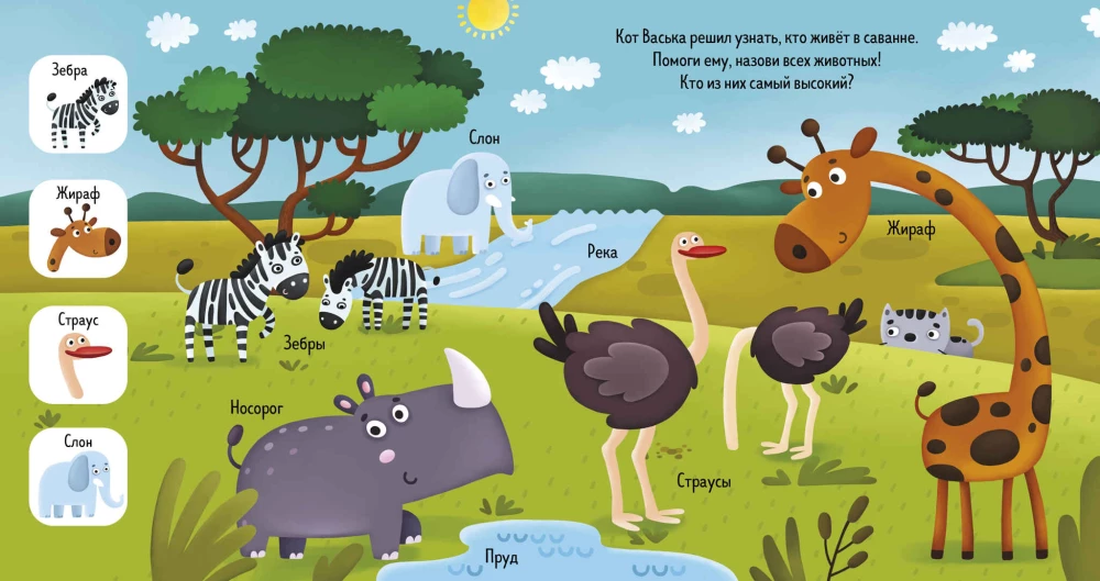 Find and Show, Baby. Animals