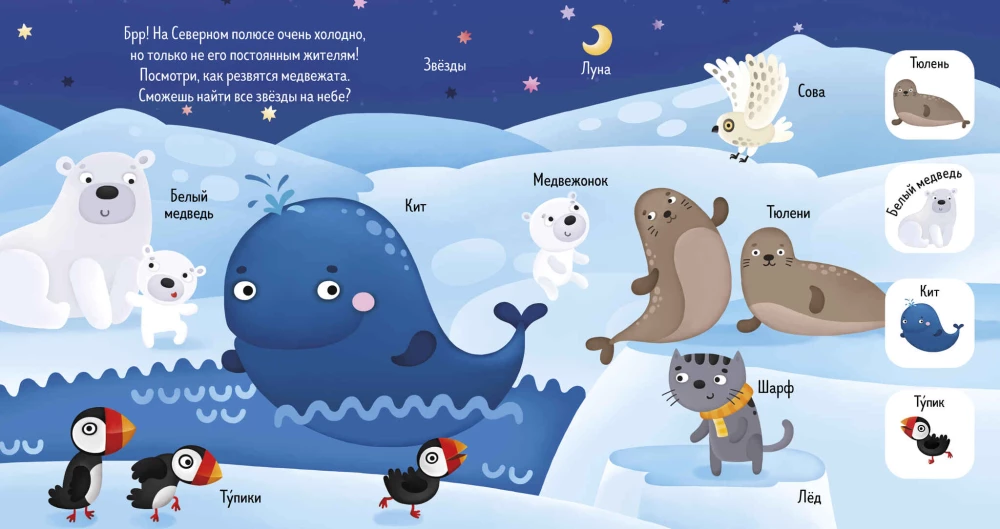 Find and Show, Baby. Animals