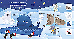 Find and Show, Baby. Animals