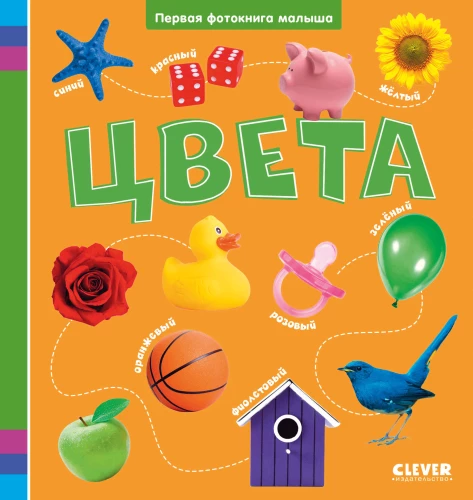 Baby's First Photo Book. Colors