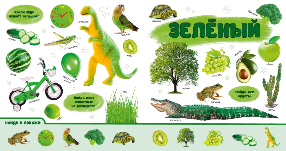 Baby's First Photo Book. Colors