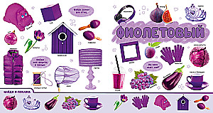 Baby's First Photo Book. Colors