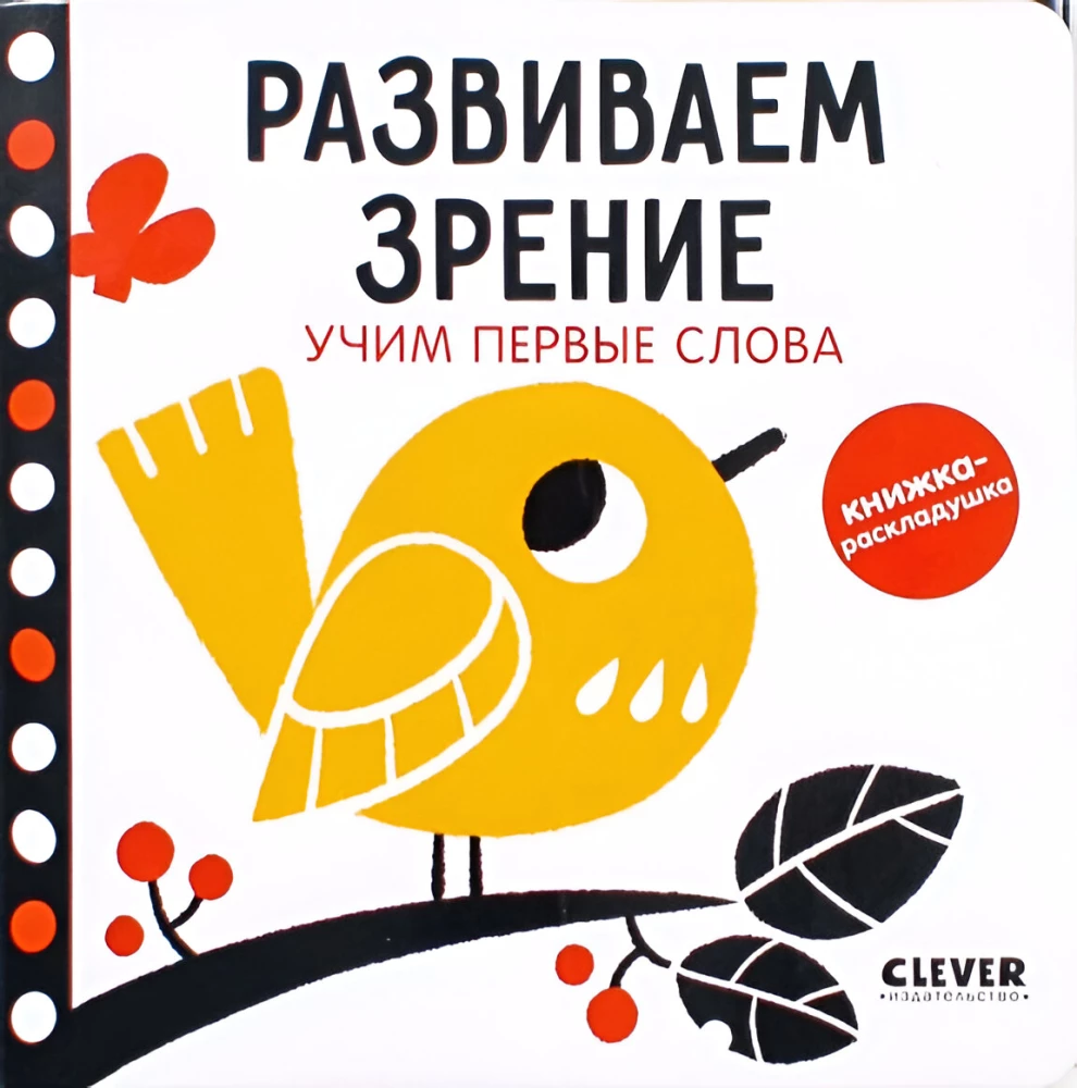 Rozwijamy wzrok. Uczymy pierwszych słów