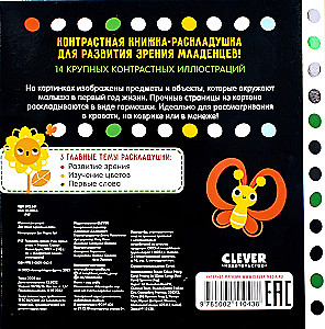 Rozwijamy wzrok. Uczymy pierwszych słów